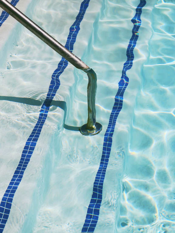 Greyberry Apartments Apartments in Wayne, MI