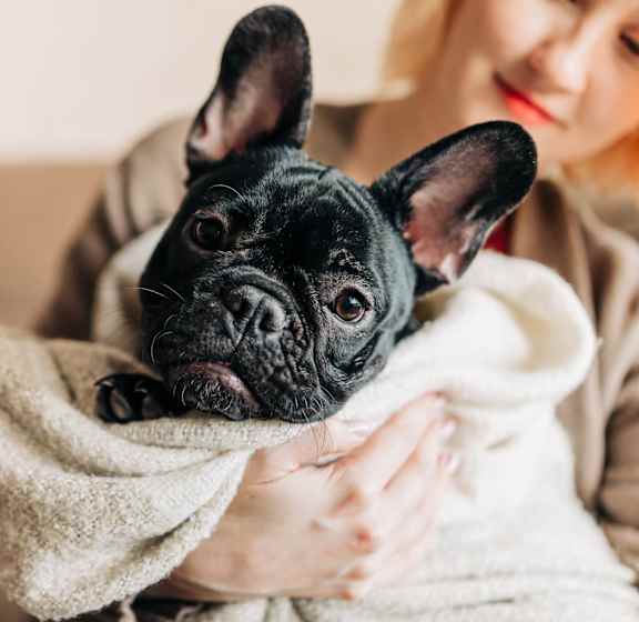 a woman holding a black dog wrapped in a towel