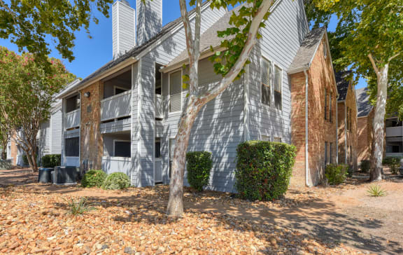 our apartments offer a clubhouse