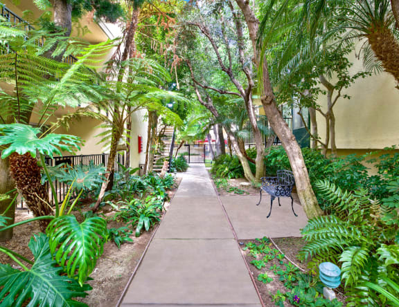 a path through a courtyard with palm trees and plants  at Casa De Oro Apartments, Torrance
