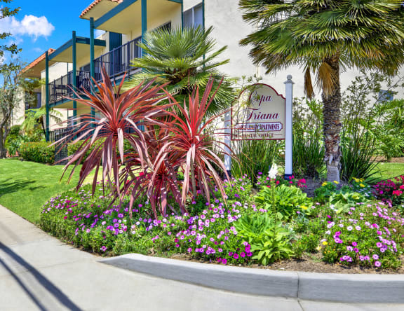 a garden in front of a building with palm trees and flowers at Copa Triana Apartments, Torrance California