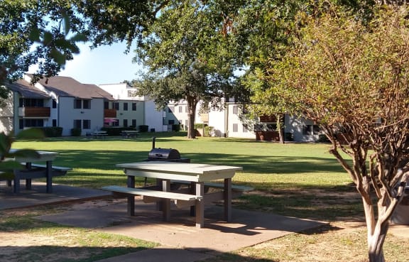 a park with picnic tables and a tree