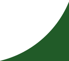 A green curved line on a black background.