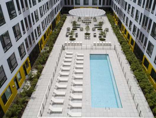 A pool surrounded by lounge chairs and greenery on a rooftop.
