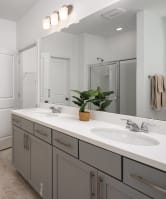 a bathroom with two sinks and a mirror and a shower