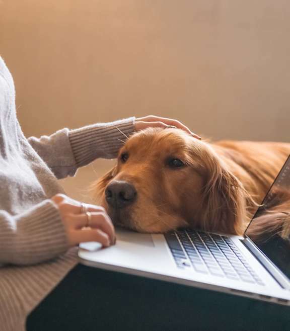 Woman petting her dog at Avela Luxury Apartments, Henderson, Nevada