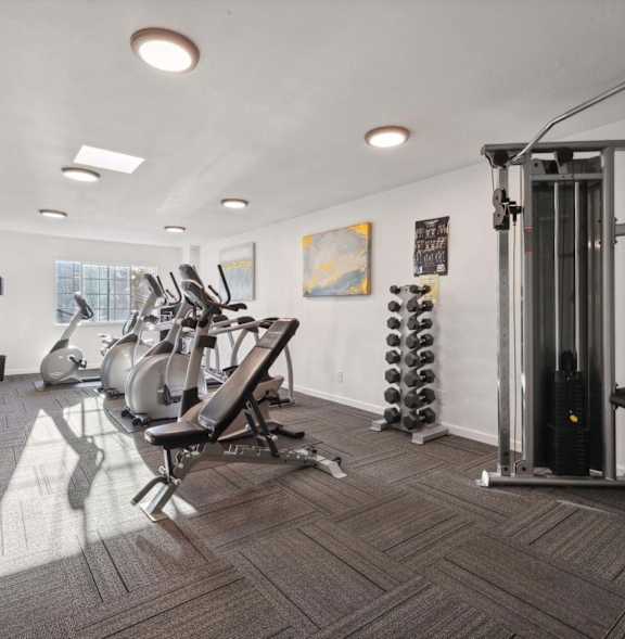 A gym with a variety of equipment including weights and a treadmill.