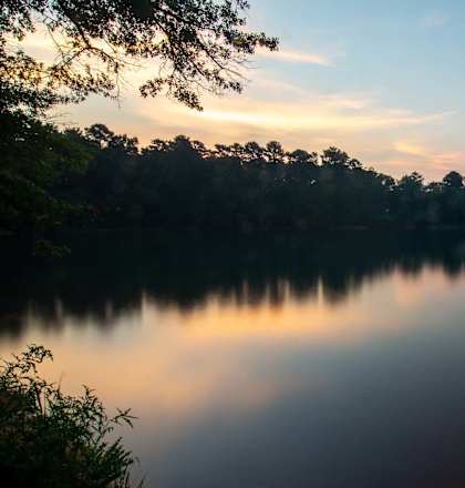 A serene lake surrounded by trees at sunset.