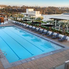 A large swimming pool surrounded by lounge chairs and palm trees.at Garden at 3Roots, California, 92126