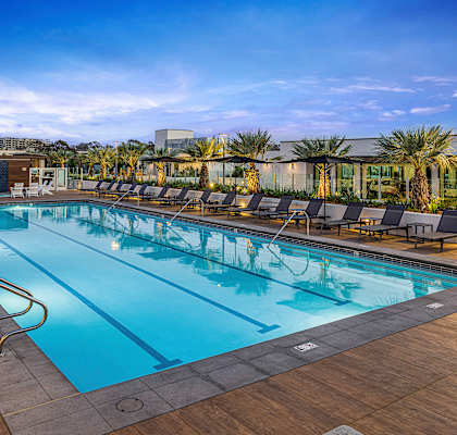 A large outdoor swimming pool with lounge chairs and palm trees in the background.