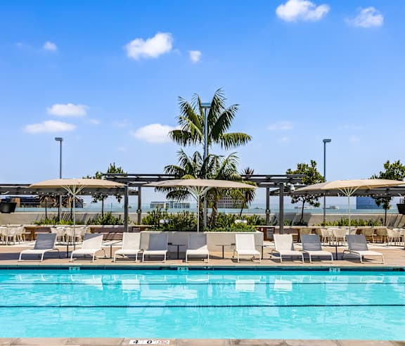 A pool with chairs and a palm tree in the background. at Elements Apartments, Irvine, CA