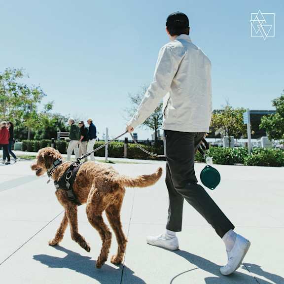 a man walking his dog on a leash