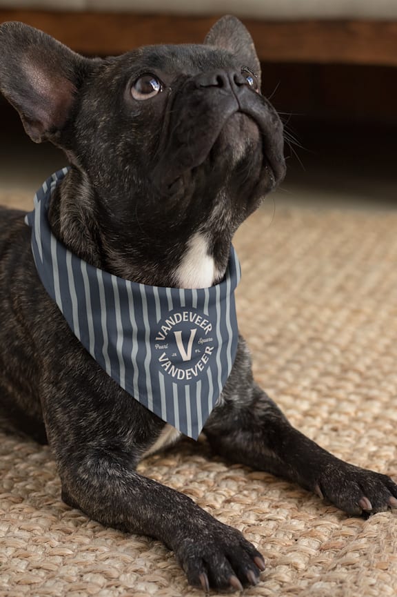 A dog wearing sunglasses and a striped shirt.