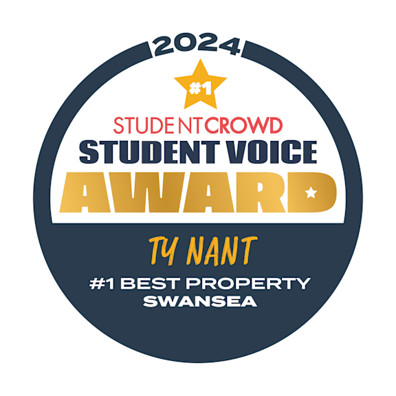 a graphic of a student voice award award with a star on top of it