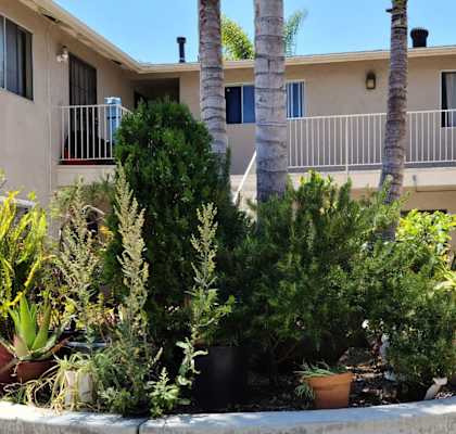 a courtyard with trees and potted plants in front of a building