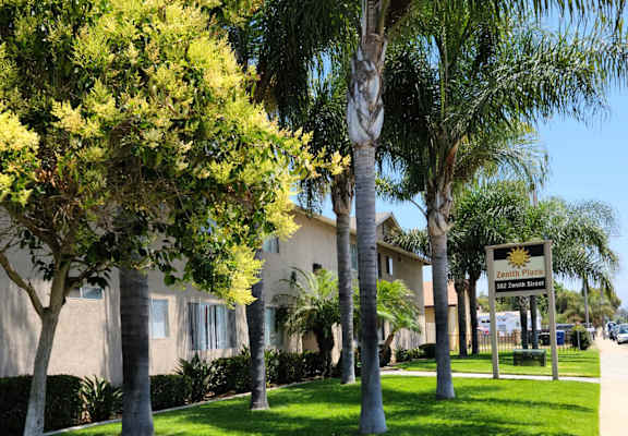 a building with palm trees in front of it