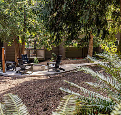 A backyard with a tree, a bench and a fire pit.