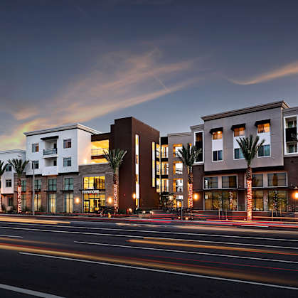 A row of modern buildings with palm trees in front of them.