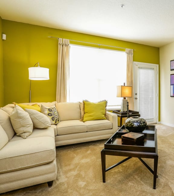 a living room with a couch and a television at The Arbor Walk Apartments, Tampa, Florida, 33617