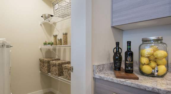 A kitchen with a white refrigerator, a shelf with spices, and a jar of lemons.
