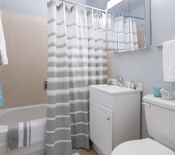 Bathroom shot with cabinetry and shower at Eden Commons, Chicago, 60616