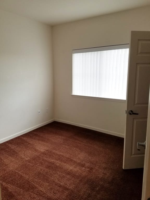 An image of a carpeted bedroom with a large window