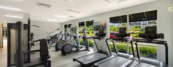 A gym with treadmills, elliptical machines, and other exercise equipment.