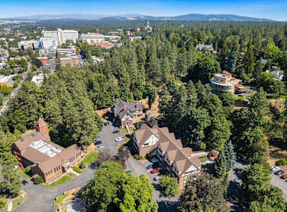 A bird's eye view of a residential area with houses surrounded by trees.