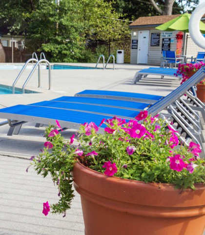 a group of blue lounge chairs next to a swimming pool