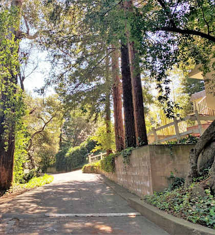 a street with trees and a house on the side of it