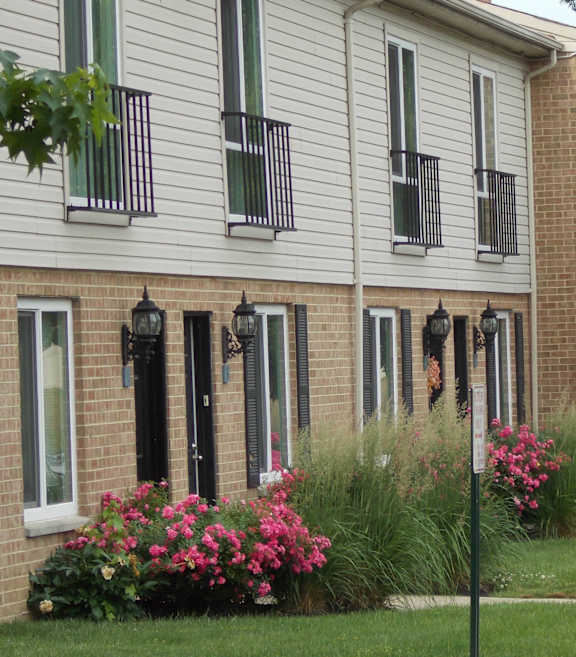 A house with a black door and window shutters.