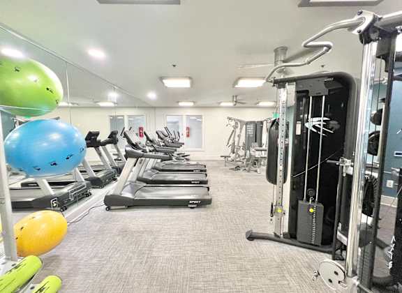 A gym with treadmills, weights, and exercise balls.
