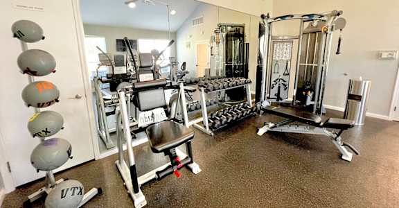A gym with a weight bench, a squat rack, and a rowing machine.