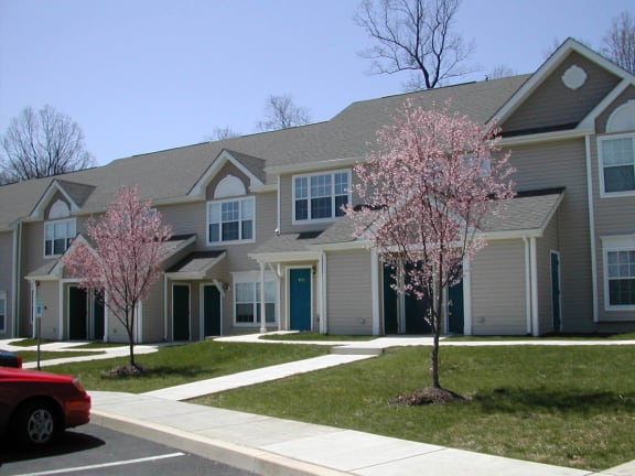 a row of houses with flowering trees in front of them
