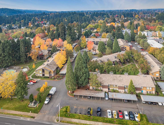 arial view of a neighborhood with colorful trees and buildings