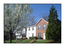 a house with a tree in front of it