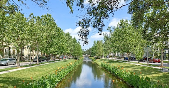 A canal in a park with trees on both sides at The Teale Siesta Lago in Kissimmee, FL, 34746