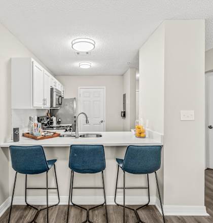 Gourmet Kitchen at Coastline Apartments, Florida