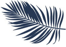 A dark blue image with no discernible features.