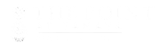 A white background with a blurry black shape.