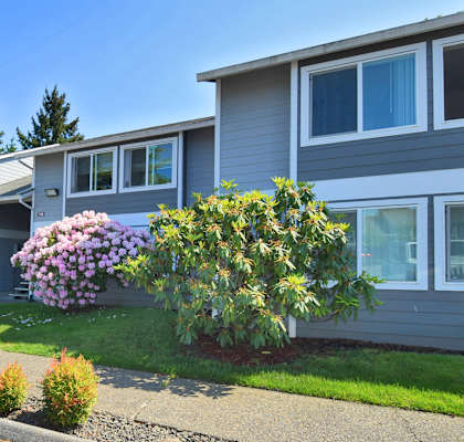 a gray house with a pink rhododendron in front of it