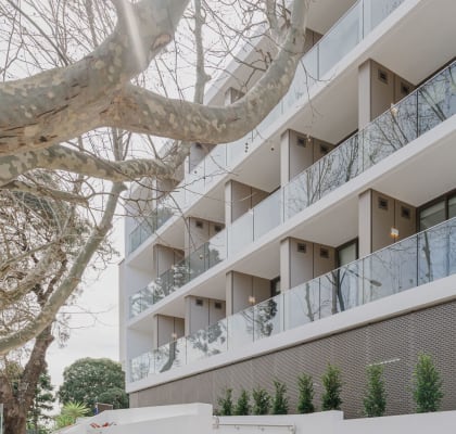 an apartment building with balconies and a tree in front of it