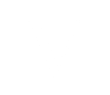 A white letter V on a black background.