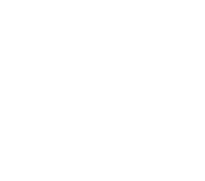 A white letter V on a black background.