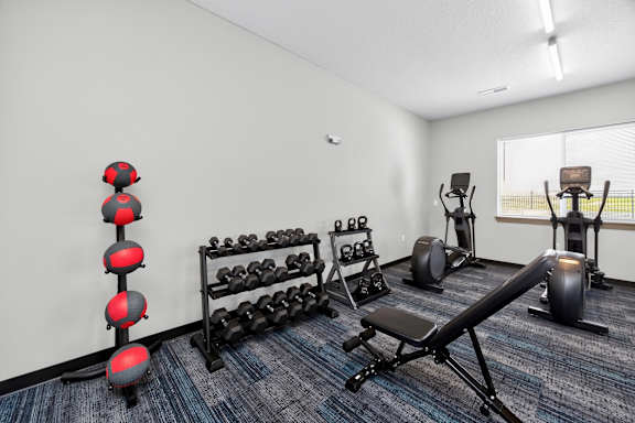A gym with a variety of equipment including dumbbells, weight plates, and a bench press.