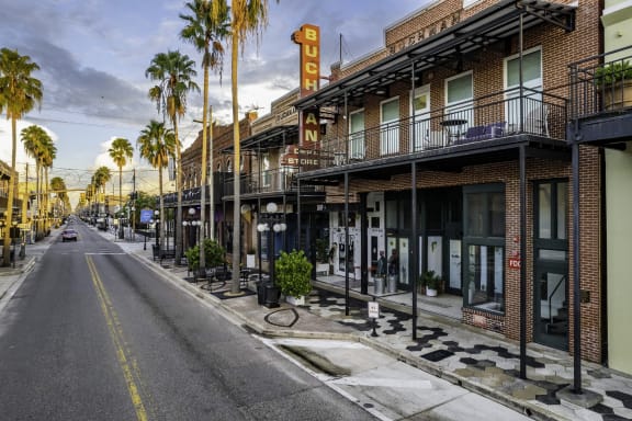 a street with palm trees and buildings on the side of a road at Casa Marti, Florida, 33605