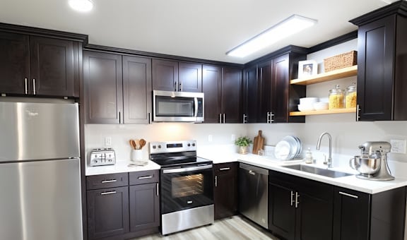 A modern kitchen with black cabinets and stainless steel appliances.
