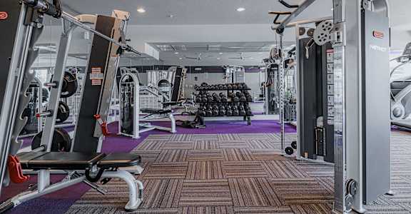 a gym with cardio equipment and weights on the floor