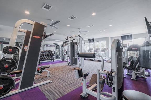 a gym with cardio equipment and weights on a rug
