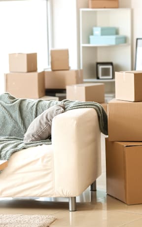 A room with a couch, a table, and a potted plant surrounded by cardboard boxes.